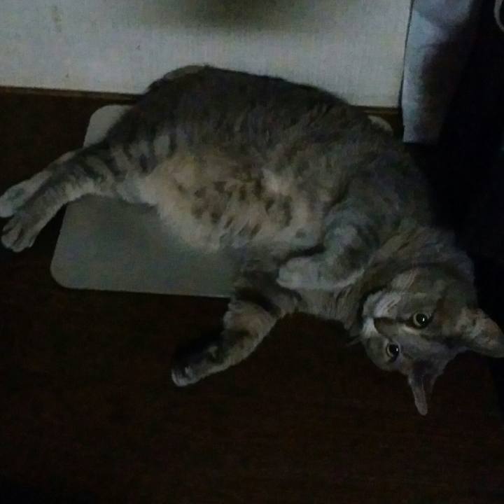 A87af14d 335b 42c7 8260 349c3f9b3b6a 1565435742069