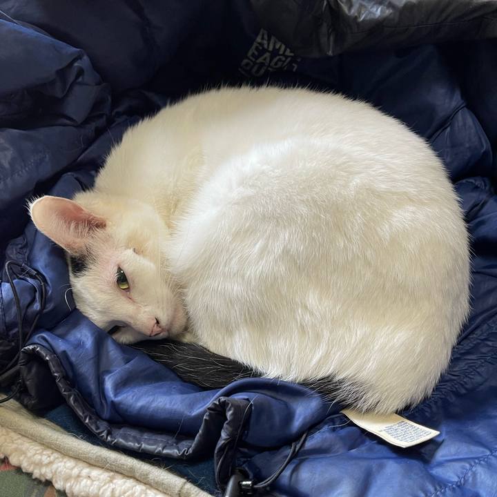 A87b0857 66cc 4e4f ac62 1cadbf8bd19d 1763879342599