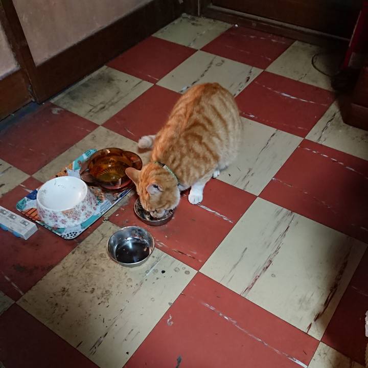 A87b4d34 8ecf 42af bbb0 943dfb250ebc 1586207617641