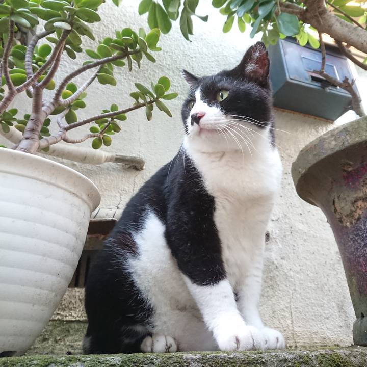 A87b4e7a 8d7e 47a7 a5f6 24b2d5550f34 1597396233839