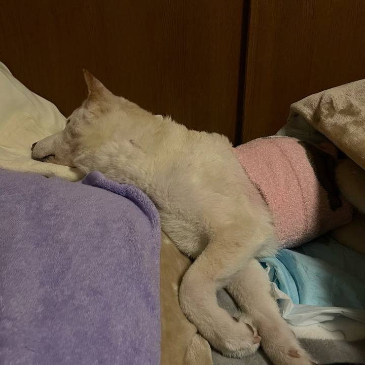 A87b5cce 376b 42a1 ad53 4830a7414cdf 1668607609191