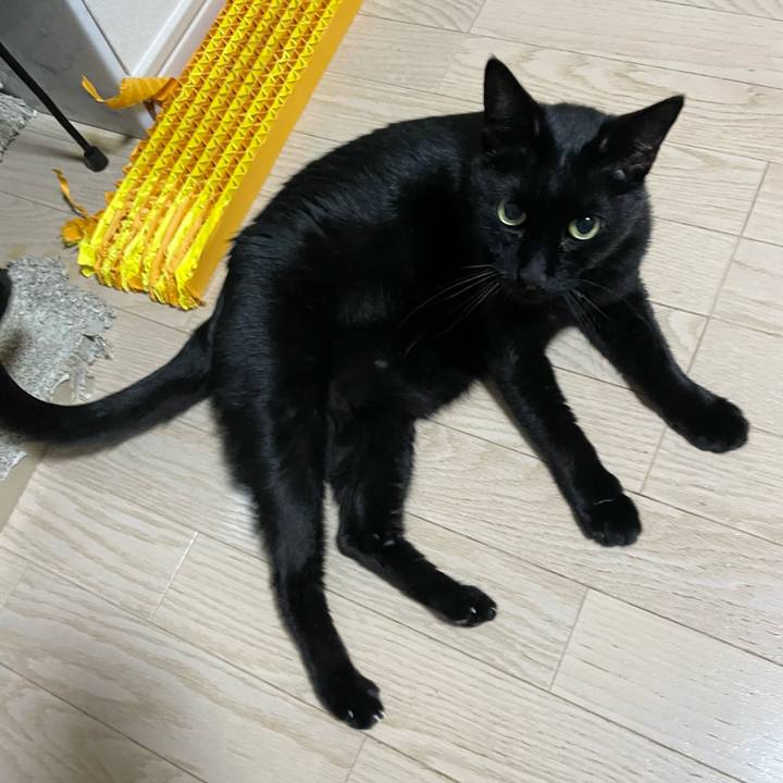 A87b5d32 246e 4572 918f 88c1cadb8340 1733488637129