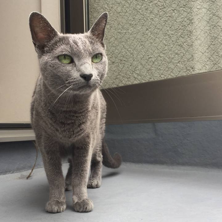 A87b7cbe 11b9 455d b4d6 b53e447d9fa2 1538307023273