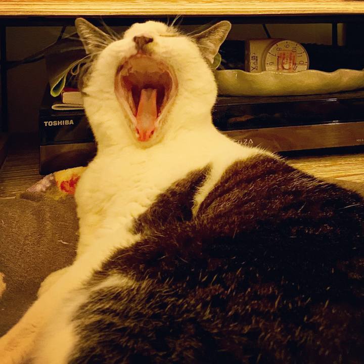 A87b9317 3407 4191 88d8 7cc0b4aaf9ae 1588174849334