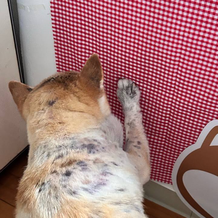 A87baff5 5f36 44cc 8550 a08465ae1edf 1761184478102