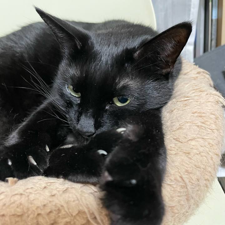 A87be4fe 0f8a 4bbe a741 bfd950fcc593 1650890471649