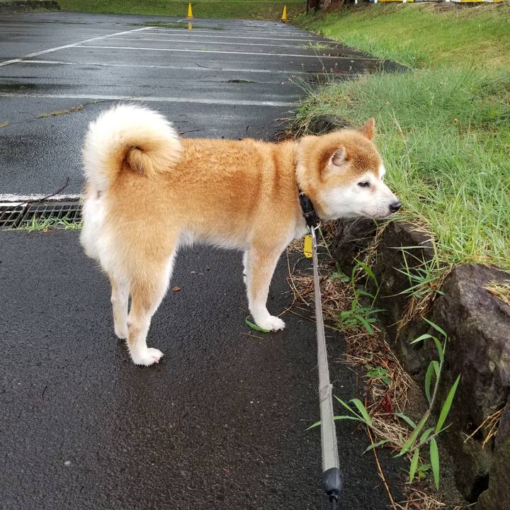 A87bed47 7b1b 494f 8eea 71970e227cd5 1628755090610