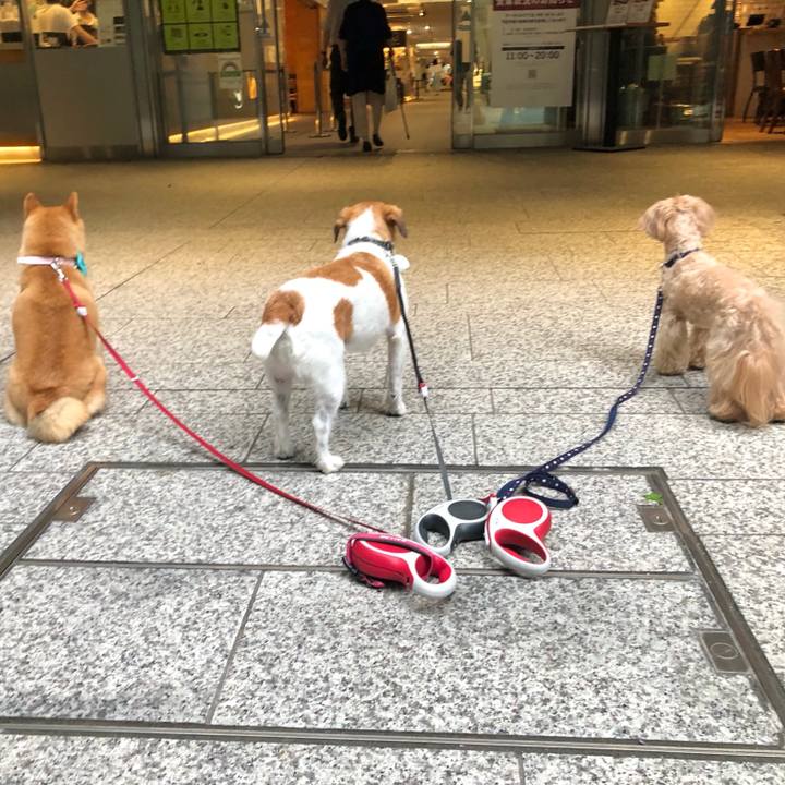 A87bf03d 9a87 4163 b4a8 0dd005effb1f 1623757992185