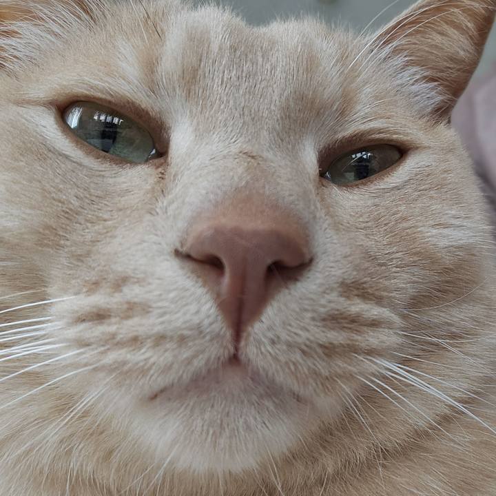 A87c0781 c5cb 43f1 b6c2 4a18c309a112 1772941860006