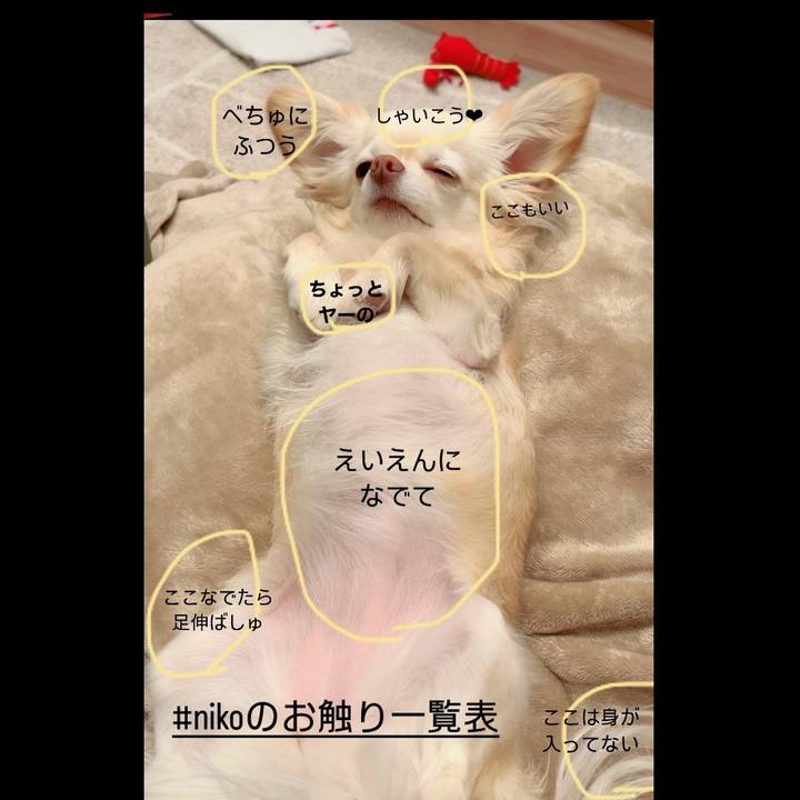 A87c0df7 bddf 4204 990f bceda478ae8d 1709990880654