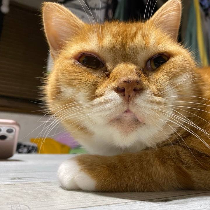 A87c25e7 552b 48db ac53 0d64390bb6f9 1606414246739