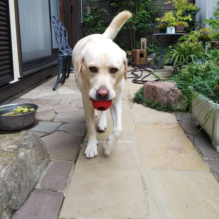 A87c763d 8ded 4f18 b074 52ba159ee605 1567153729685