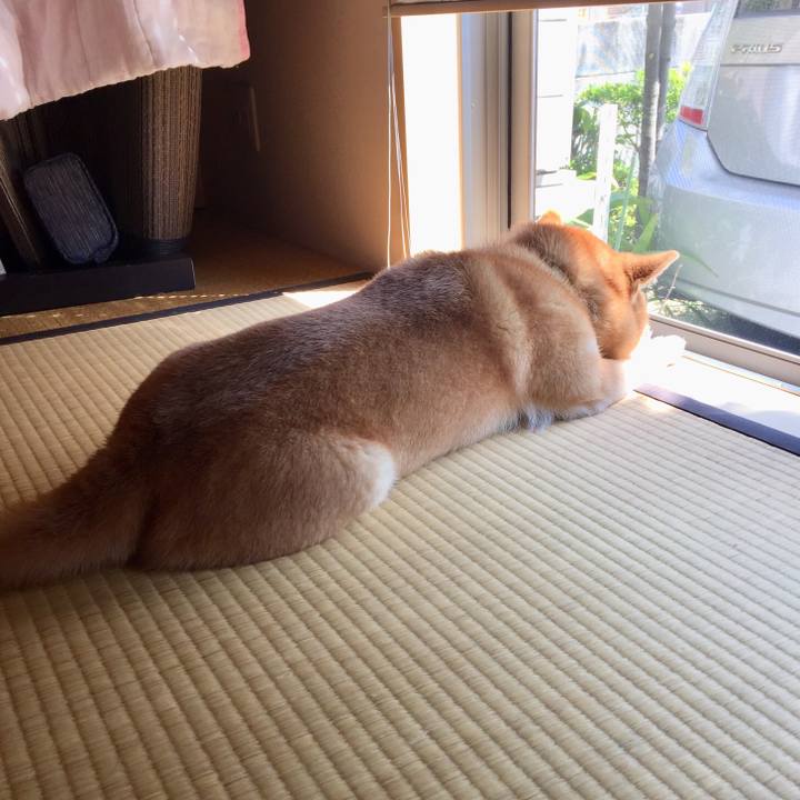 A87c773f 44b5 4652 a39e 627c0051b090 1533689331802