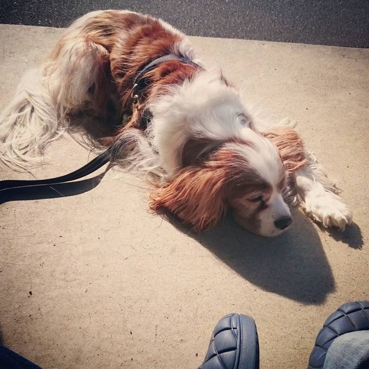 A87c7c30 19f2 4cac a16d fe8e71340afb 1510708262724