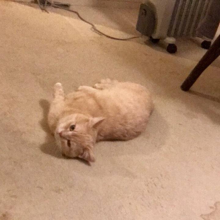 A87c9754 b705 4a74 a497 6774ff086b92 1521032295955