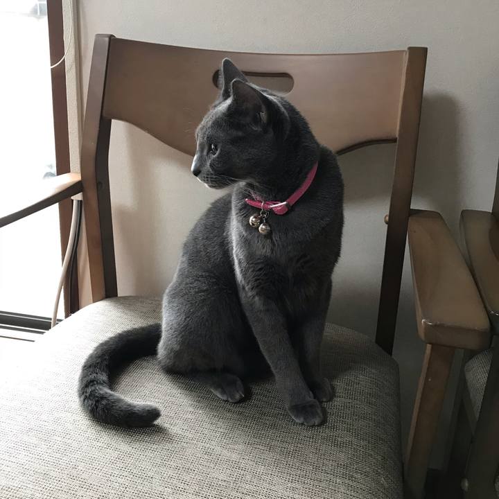 A87c994a 8561 4c9b 8dc7 219b5e17c00b 1539240014423