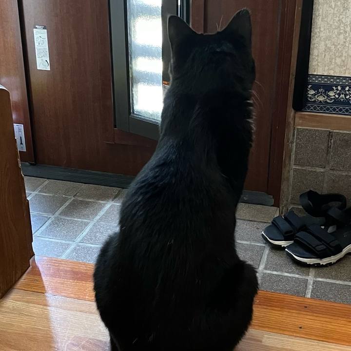 A87c9f9f 96a4 4429 9f7c eefdaa3f2754 1768792525496