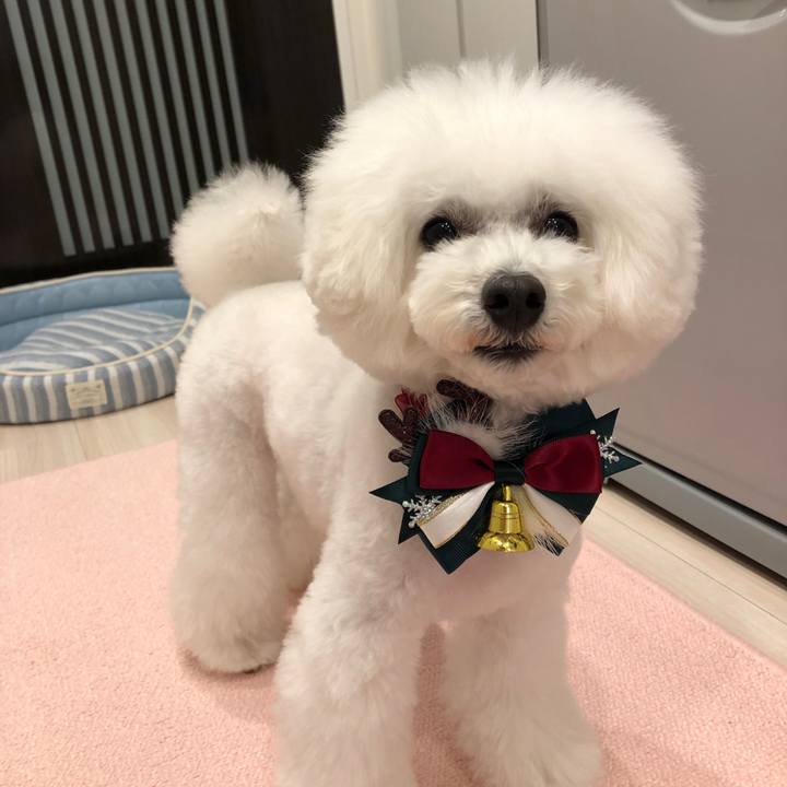 A87cc660 ab9c 478f bf68 997567457dce 1608709821665