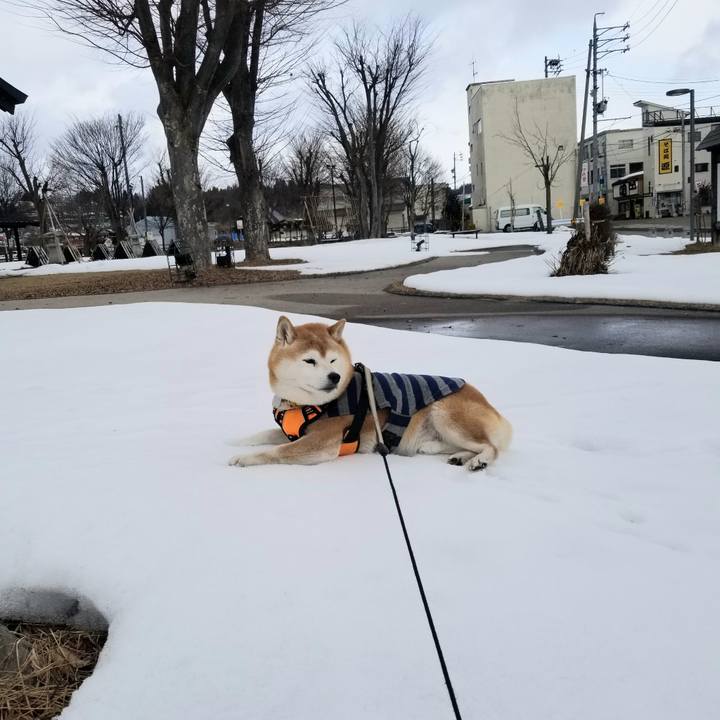 A87cf7e7 b5e9 44dd 9098 ecefc277b933 1674016285508