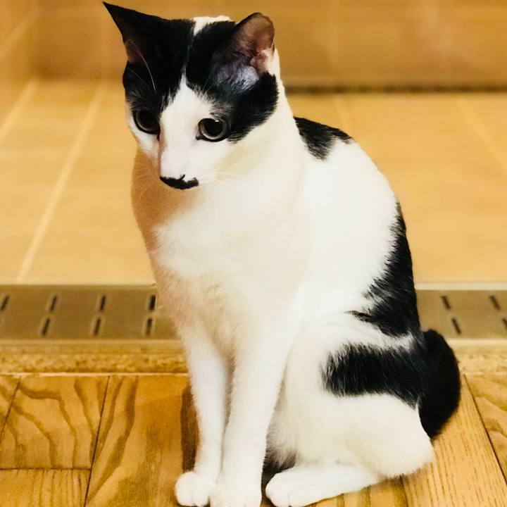 A87cfbab 7049 46ac 8060 d4372ee2aab0 1530467884460