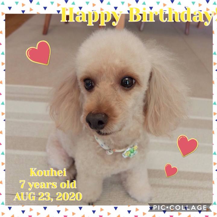 A87d18cf b2bc 4496 ae5a 1c1229c2f572 1598129347543