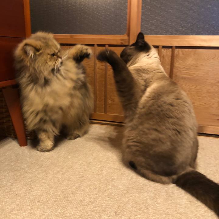 A87d4104 37f3 4e59 af5b 4549a27ffeea 1616760654932