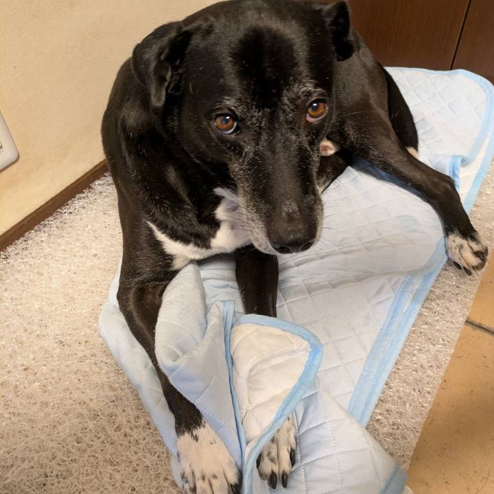 A87d4213 ced1 4b4f a128 f70d9c8388ab 1757808348719