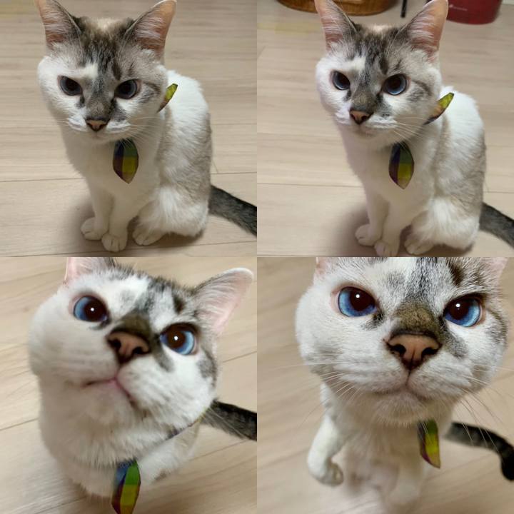 A87d5a1d 5847 4fa4 88bc 1521222243ed 1568071733128