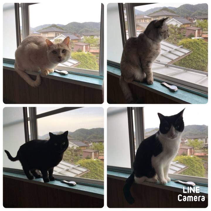 A87dad04 0a6e 485d 93ee fd74a4b84b3c 1619171113608