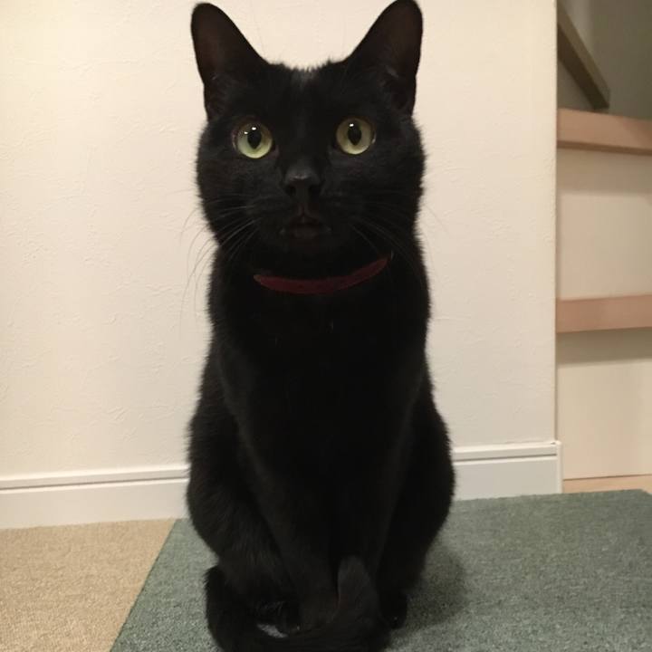 A87e3e8f 035a 4bc4 9e93 ac5578948749 1554203106672