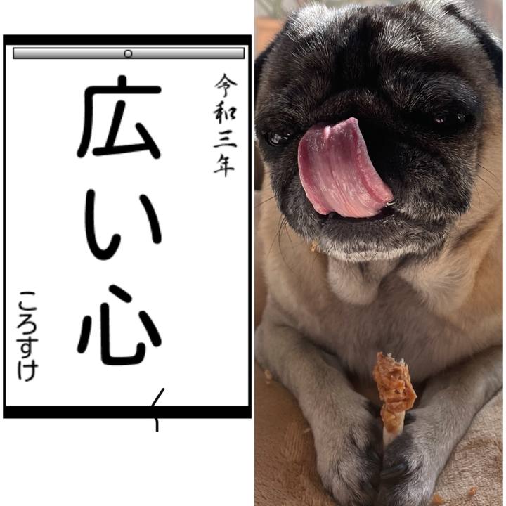 A87e7f93 60df 460b 91c9 2eea0fb44bea 1609831250757