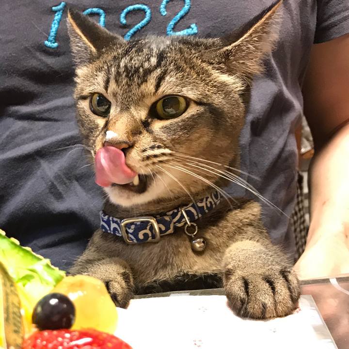 A87e932f 4cdc 48f1 82eb 137f31813e40 1530146311354