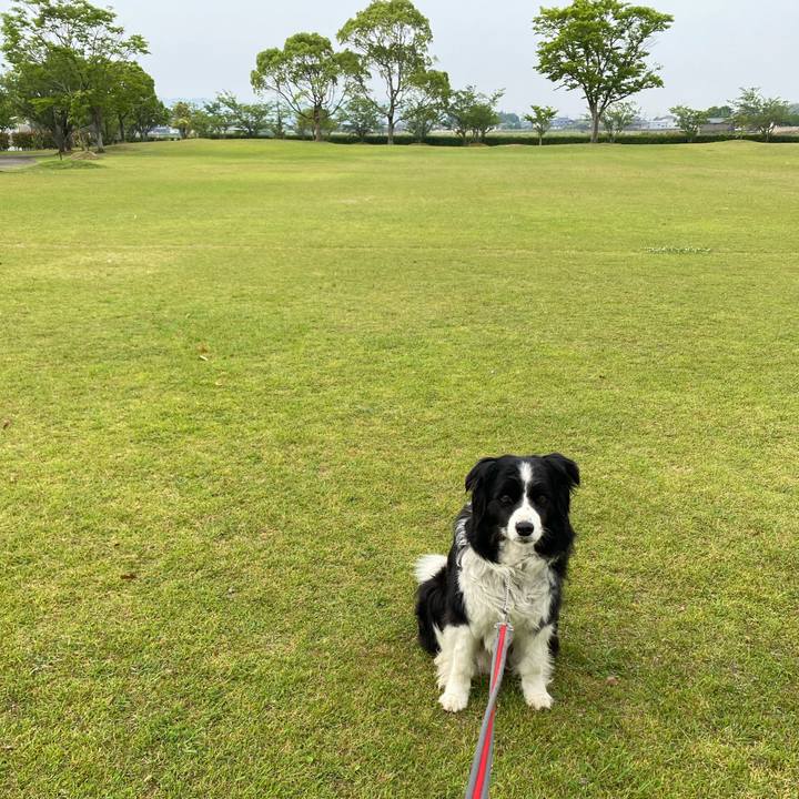 A87e9d59 6c42 4f30 a4fe 87a6d2c1848c 1590794718274