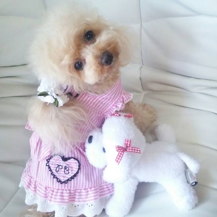 A87f153b 958e 4460 95a0 94b53937c439 1558357072273