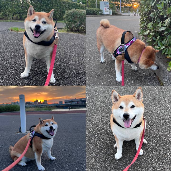 A87f18a4 2246 4797 ad43 a38dba132031 1688294483440