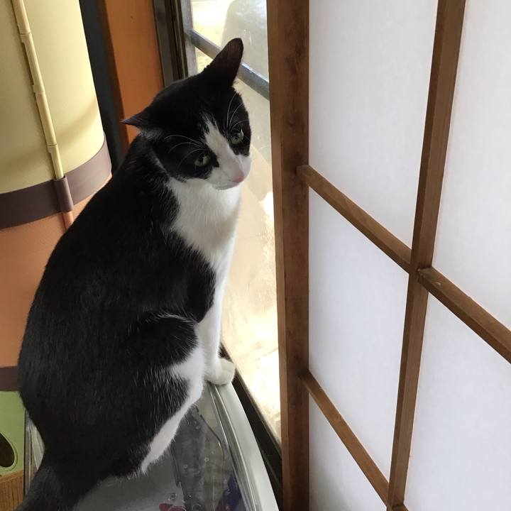 A87f35c9 5bf8 4059 b4bb d7964bcf079e 1691229296759