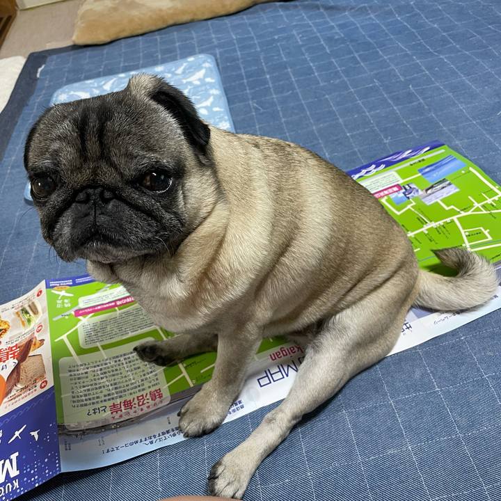 A87f5a84 5516 45db 8995 1963f1b4b47b 1625788433359