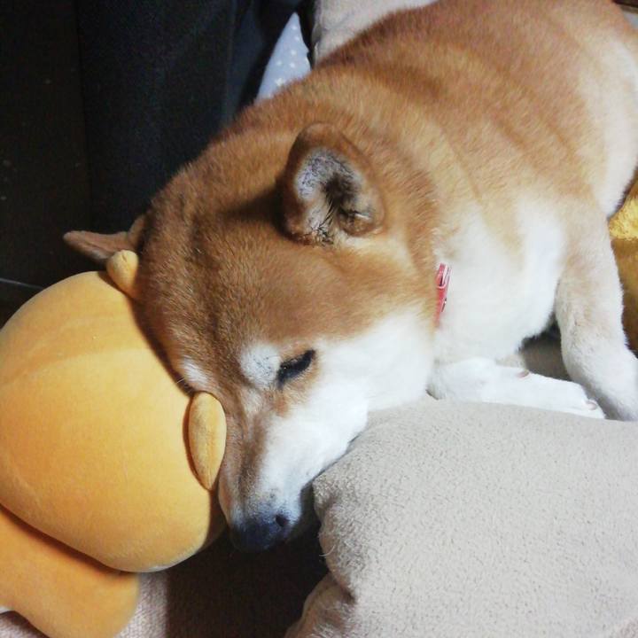 A8802d42 6e3a 4fd0 b40d e538037cb892 1650859085117