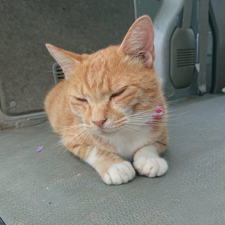 A880cba4 16ce 445a 8e82 f6672f2907ff 1597464694230