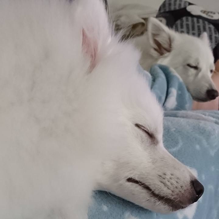 A880d6c6 747a 4572 9086 746176118bba 1552980608713