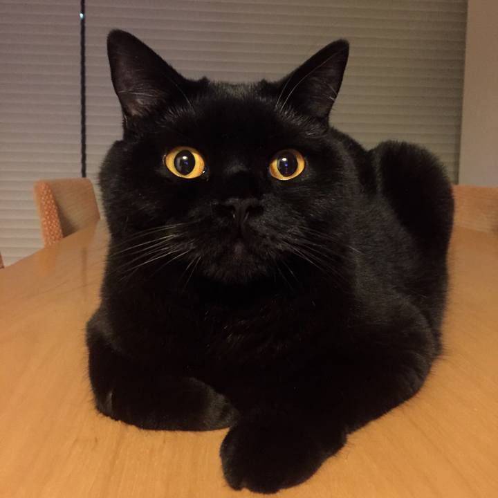 A880f4c9 9964 4c14 be91 49e7778284ea 1529416400174