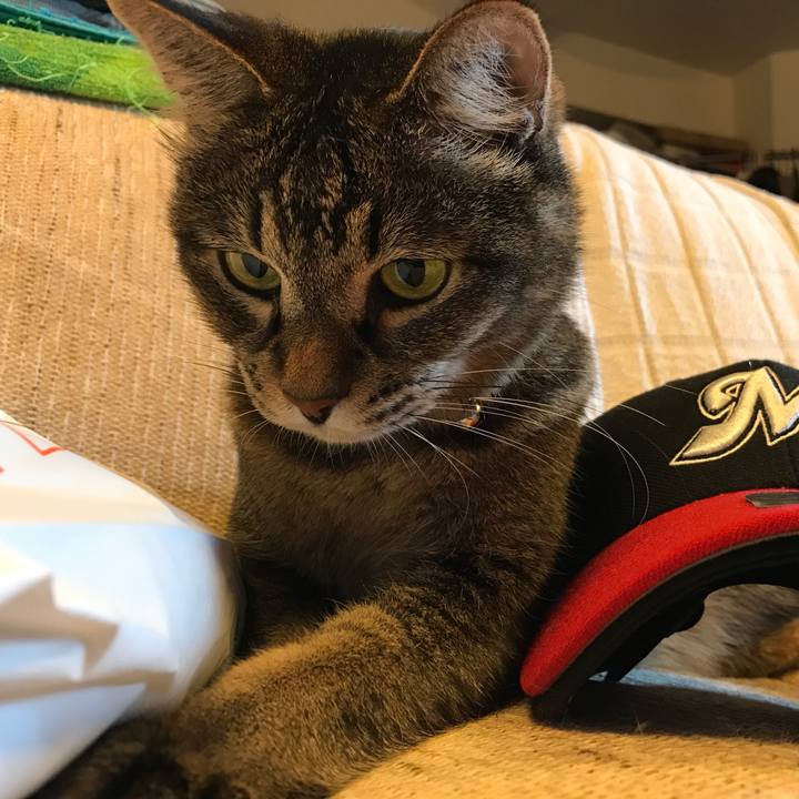 A8810567 e4d4 4448 8710 174f8bf43673 1532172644174