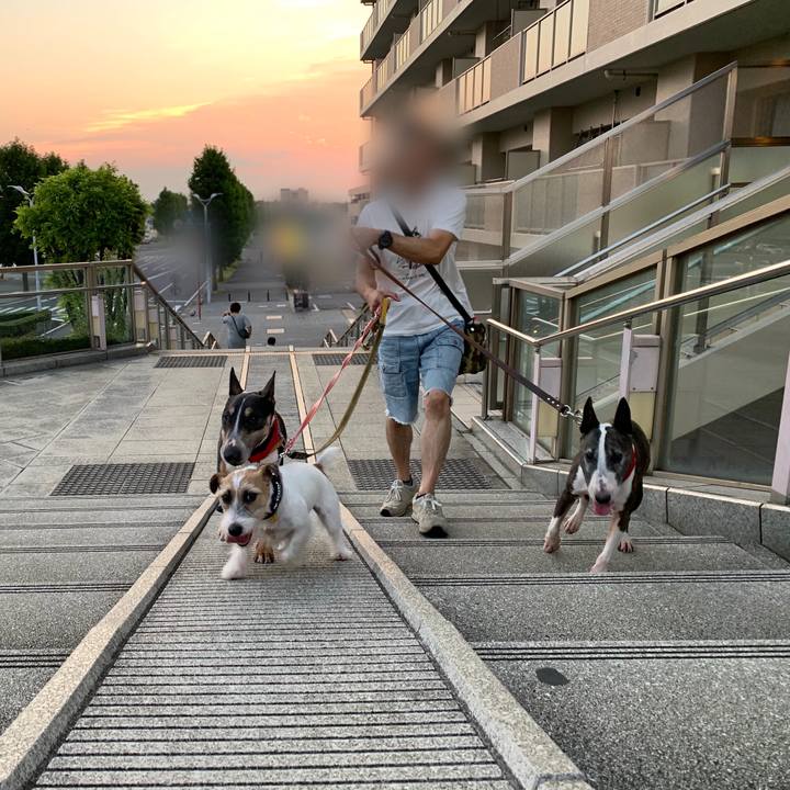 A881162b 48d6 4af5 b999 0f35a6e98541 1597577245787