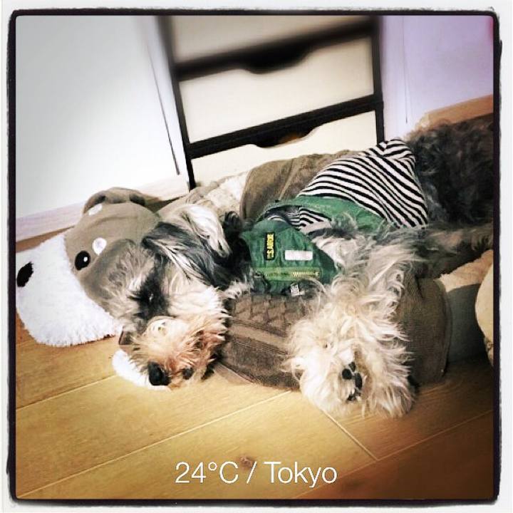 A881664b c50e 4ed8 8e10 3219d62f883c 1526558659900