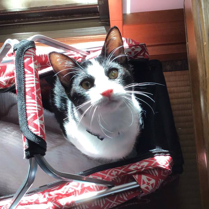 A8819b8f 29c5 4531 b523 3afdcf4b8da2 1634369709807