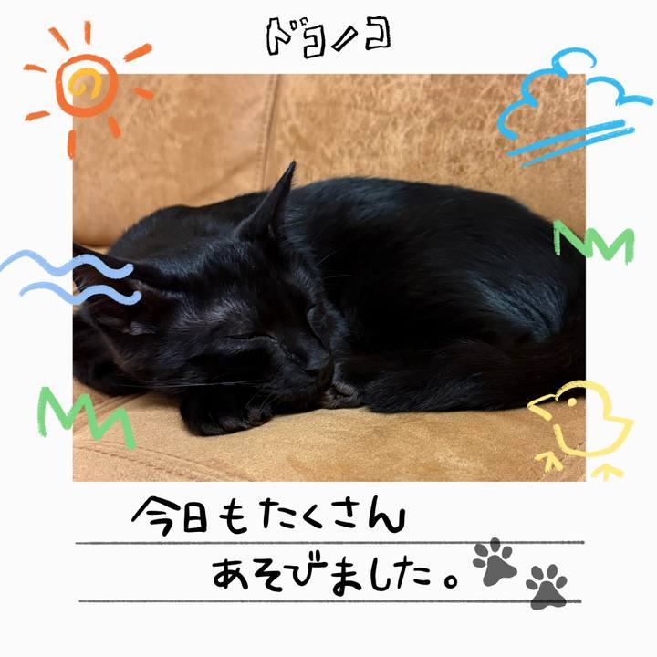 A881ec59 7041 4c6e b41c 9fe40935f39d 1755085325662