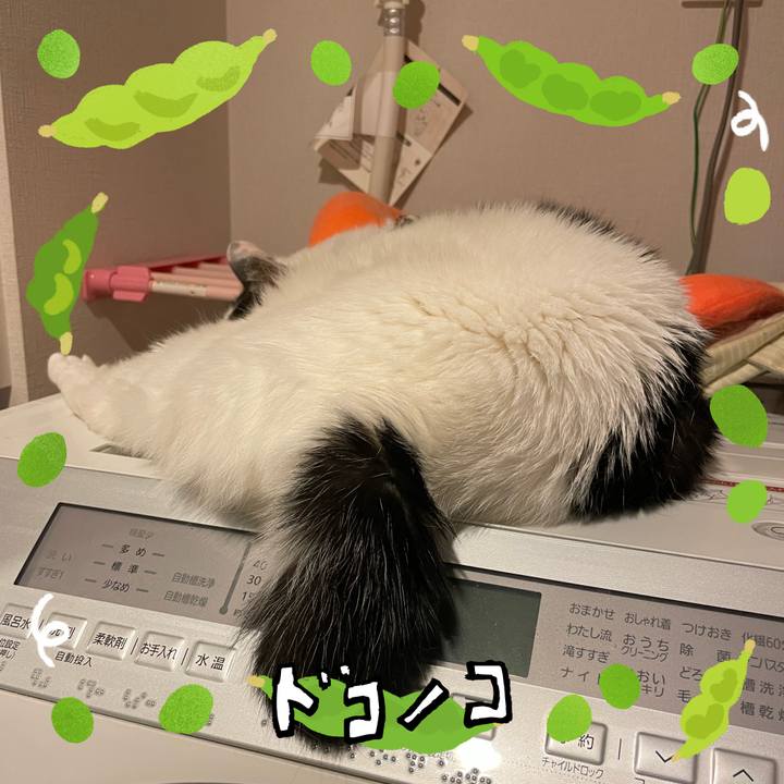 A88256d6 3721 4373 8d69 3b2c231aef35 1720928318931