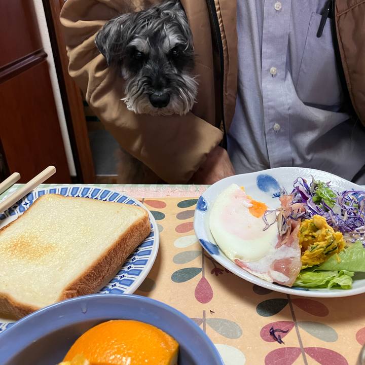 A8827fc7 24f2 45e1 9ec8 9c207e545ad3 1746247549481