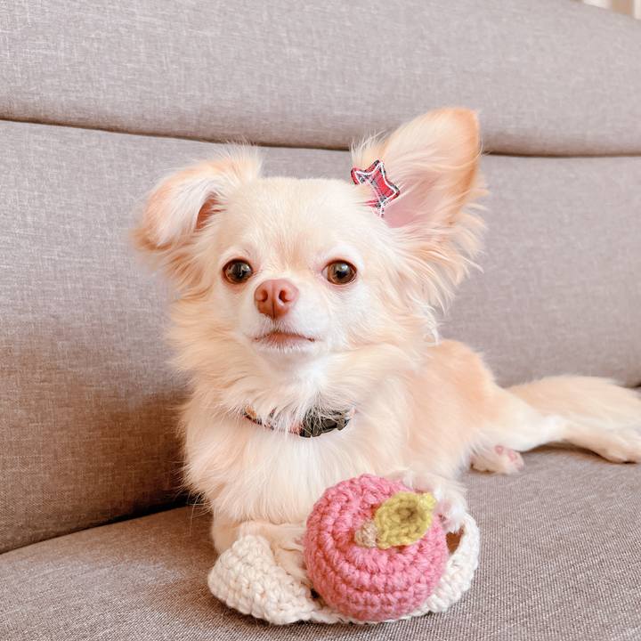 A8828e89 a682 44a4 b9fa a6881c5a6bab 1658632593833