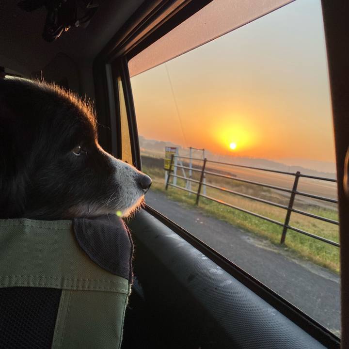 A882961e c26c 462f 9076 9a29300d2219 1637100480029